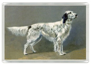 ENGLISH SETTER DOG ART PRINT NOVELTY FRIDGE MAGNET GREAT GIFT - Picture 1 of 1