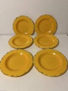6 -New Ashland Summer Fiesta Melamine Plates - Picture 1 of 5