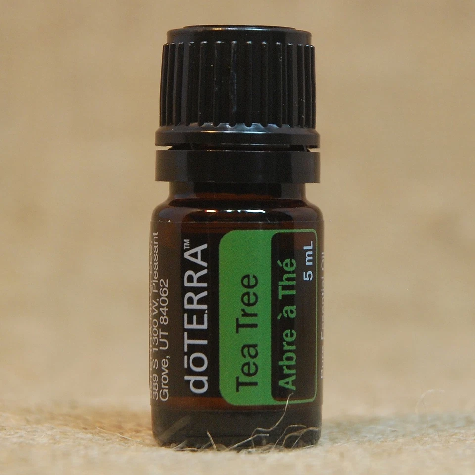 doTERRA Tea Tree 15ml Essential Oil Exp 2025 Melaleuca