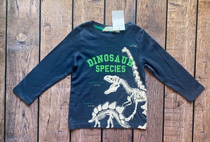 Toddler Boy Size 2-4 Years H&M Blue Dinosaur Species Facts Long Sleeve T-Shirt - Picture 1 of 1