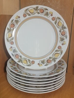 Franciscan Whitestone Ware PICKWICK Juego de platos de cena de 8, 10 1/4", fruta, usado en excelente estado Foto 1 de 4