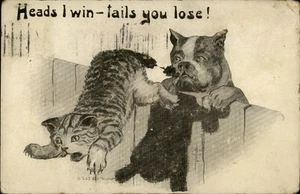 Humorous Cat and Dog Postcard, Vintage 1910, Indiana - Picture 1 of 2