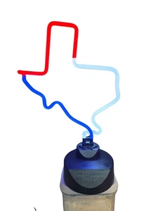 Tischplatte Neon Glas Skulptur Texas 16" Nachtlicht LED Lampe - Bild 1 von 6