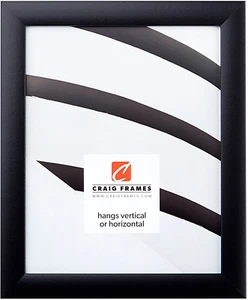 Contemporary Picture Frame, 14 X 22 Inch, Black - Picture 1 of 9
