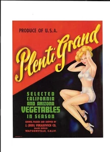 Vintage Crate Label PLENTI GRAND CA & AZ vegetables Vukasovich Watsonville CA - Picture 1 of 2