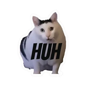 Calcomanías de vinilo de 3" pegatinas de meme de gato regalo divertido para gatito gato dueño de mascota viral - Imagen 1 de 1