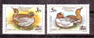 HUNGARY - 1989. Wild Ducks - MNH - Picture 1 of 1