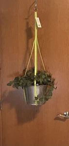 PFLANZENHÄNGER Stoff Innen/Außen 36" Primitive Pflanzgefäße Lindgrün - Bild 1 von 6