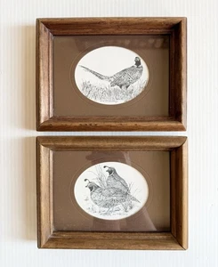 Vintage Paar Vogel Bild Zeichnungen gerahmt Wandbilder, Wachtel & Fasan, H McSweeney - Bild 1 von 8