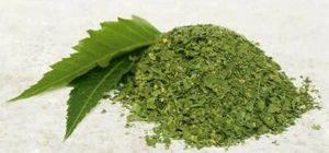 Neem Leaf Leaves High Quality! Free P&P - Select Weight - Bild 1 von 1