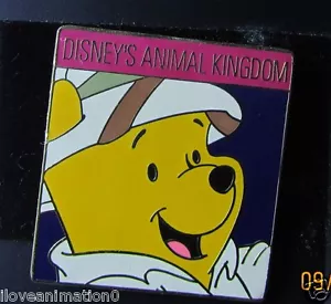 Disney WDW Animal Kingdom Pooh Bear Head Pin ** - Picture 1 of 1