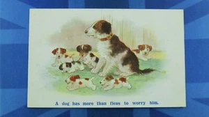 ¿Donald McGill? Postal Cómic Años 1920 Cachorro PERRO TIENE MÁS QUE PULGAS PARA PREOCUPARLO - Imagen 1 de 2