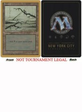 Swamp (4th Edition Dark - Leon Lindback - 1996) World Championship NM ABUGames