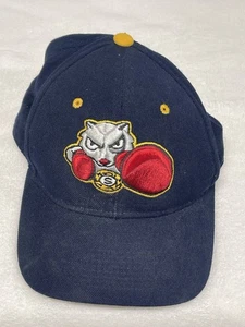 Vintage Bradford Fightin' Squirrels Zephyr Fitted Hat Size 6 7/8 Navy Blue Cap - Picture 1 of 7