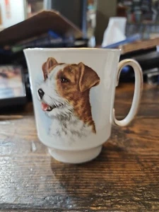 Vintage Royal Windsor Fine Bone China England Terrier Coffee Tea Cup - Picture 1 of 7