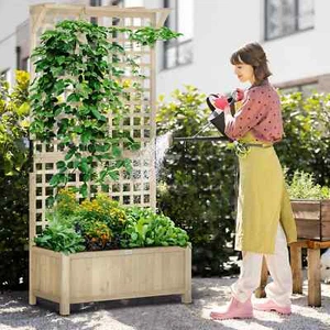 Maceta de madera al aire libre cama elevada con enrejado plantas trepadoras verduras flores - Imagen 1 de 11
