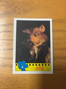 1990 Master Splinter Teenage Mutant Ninja Turtles O-Pee-Chee trading card - #6