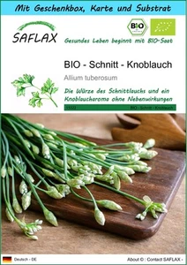 SAFLAX - Geschenkset - BIO - Schnitt - Knoblauch - 100 Samen - Bild 1 von 10