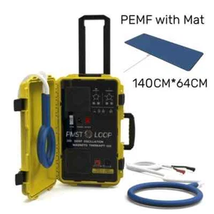 PEMF Magnetic Therapy PMST LOOP Device 6000GS Joint & Bone Pain Relief Machine - Picture 1 of 19