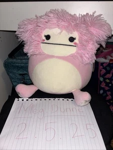 Squishmallow Brina the Bigfoot 8 Zoll Brandneu mit Etikett Plüschtier US-Import rosa Rarität Benny - Bild 1 von 1