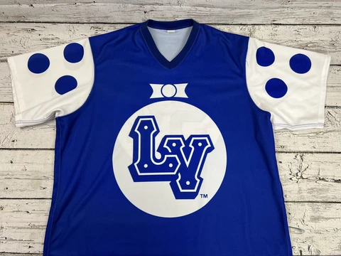 Lehigh Valley Ironpigs MILB Jockey Game Stitched Jersey #54 Raul Valdes Auto Cover