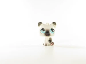 Littlest Pet Shop Lamiendo Gato Siamés Nº # Auténtico LPS - Imagen 1 de 6
