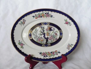 Plato para servir verduras ovalado Ridgway VESPER INDIAN TREE de 9" - Imagen 1 de 5