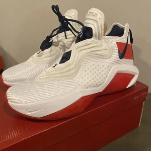 Size 11 - Nike LeBron Soldier 14 USA - Picture 1 of 5