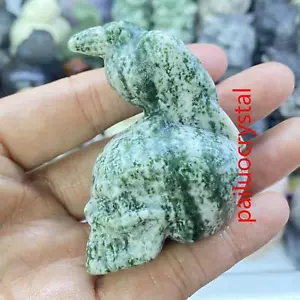 2,3 Zoll natürliche Qinghai Jade Krähe Schädel Quarz Kristall Schädel geschnitzte Figuren 1 Stck. - Bild 1 von 4
