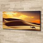 Leinwandbild Kunst-Druck 125x50 Bilder Landschaften Sahara Kamel