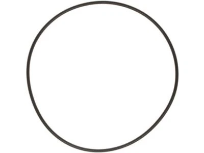 Junta de placa de respaldo de bomba de agua Mahle 33347NX para Chevrolet Silverado 1500 Foto 1 de 2