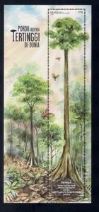 Malaysia Stamps : World's Tallest Tropical Tree, 2020, MNH (single sheetlet) - Picture 1 of 1