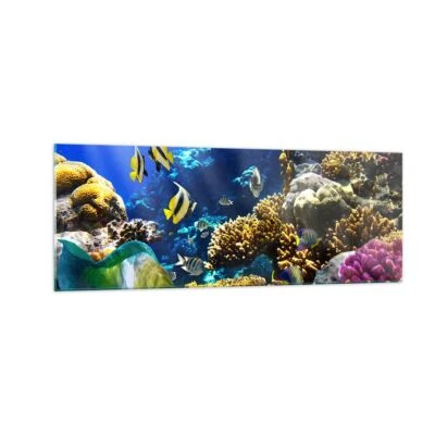 Wandbilder 140x50cm Glasbild Korallenriff Ozean Krabbe Fisch XXL Bilder - Bild 1 von 4