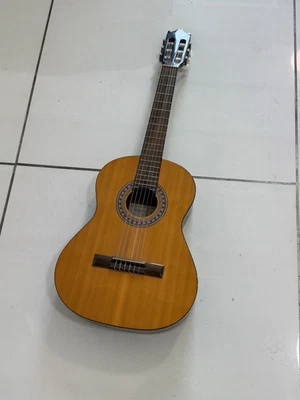 Гитара Salvador Ibanez GAR6-GAM - Изображение 1 из 4