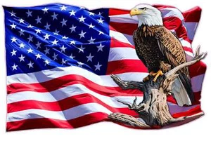 American flag eagle perched on tree branch decal - Picture 1 of 8