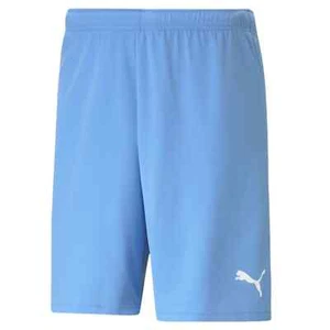 Puma Mens TeamRISE Shorts DryCELL Sports Football Gym Running Training S-3XL - Picture 1 of 2