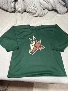 NHL Phoenix Coyotes Vintage 90s Jersey Size M - Picture 1 of 3