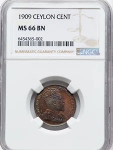 Ceylon 1 cent 1909 NGC Ms-66BN - Solo finest for the type! - - Picture 1 of 3