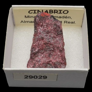 CINABRIO (Minas de Almaden, Almaden, Ciudad Real) #29029 / Cinnabar - Picture 1 of 1