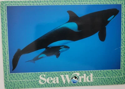 Postal Orca Madre y Bebé Sea World 6X4 publicada 1995 Foto 1 de 2