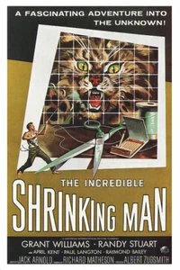 The Incredible Shrinking Man Movie Poster 12 x 18 - Picture 1 of 4