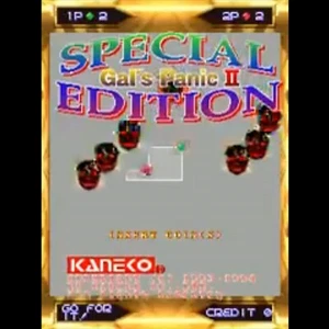 Used Gals Panic 2 Special Edition Arcade Game PCB P.C.Board Kaneko JAMMA - Picture 1 of 1