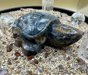 Ocean Jasper Turtle 11.3cm Hand-Carved Crystal | Joy, Healing & Positivity - Picture 1 of 4