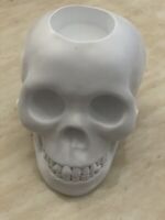 Skull Replica Tealight Holder Resin Decoration Science Experiment 24 Teeth White