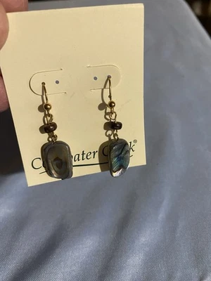 Coldwater Creek Treasure Drop Colorido Piedra Gancho Pendientes Tono Dorado Conjunto Foto 1 de 4