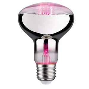 Paulmann 287.33 LED Lampe Pflanzenlicht 6,5W Leuchtmittel Wachstumslicht R80 - Picture 1 of 4