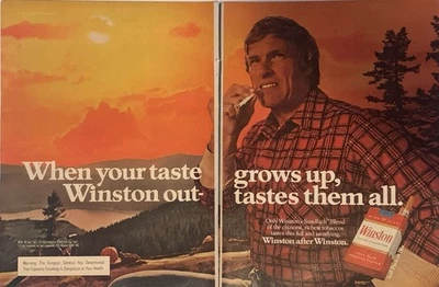 1979 Winston сигареты печати объявление Lumberjack винтажный 1970-х, когда ваш вкус растет - Изображение 1 из 4