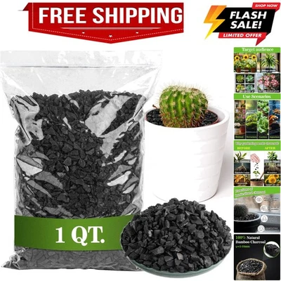 Horticultural Charcoal for Plants - 1Qt. Natural Earth Regulated Supplement f... - Image 1 of 4