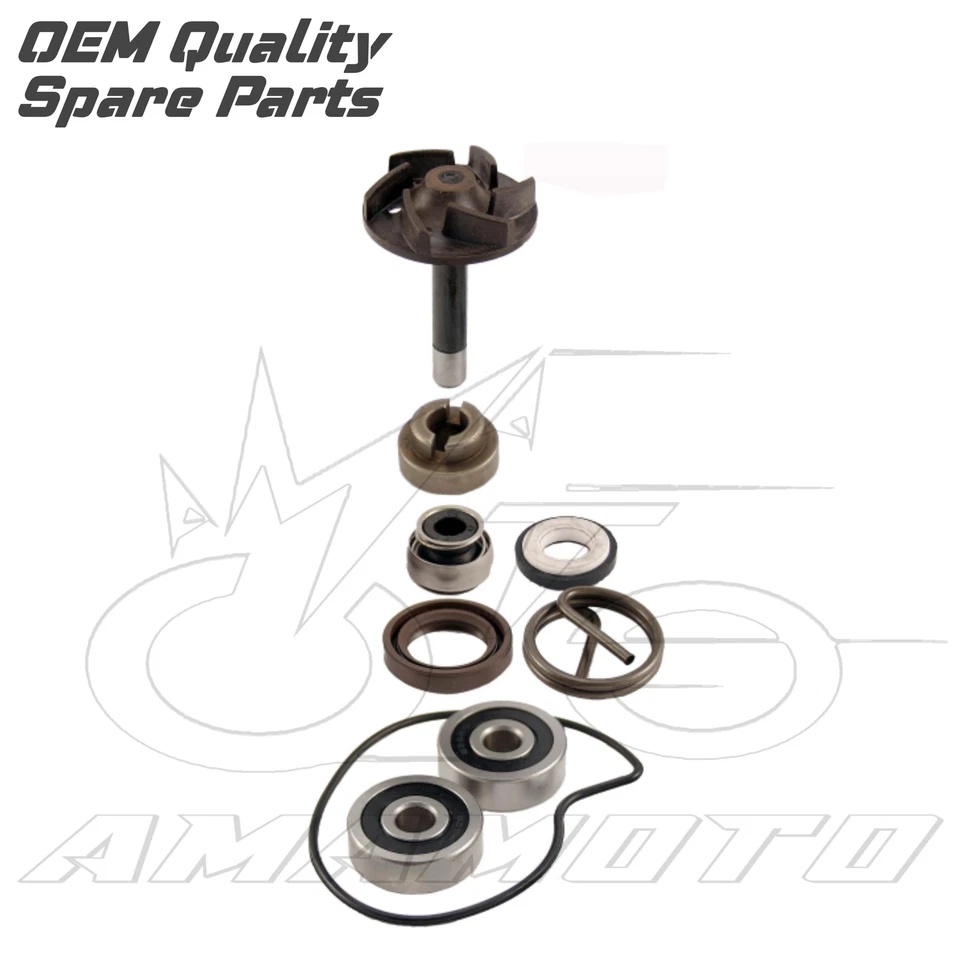 KIT REVISIONE POMPA H2O ACQUA PER PIAGGIO BEVERLY 250 RST 2004/2005  - Immagine 1 di 1