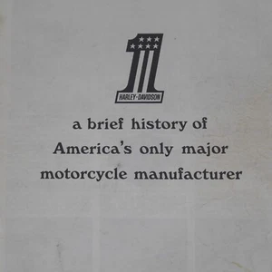 De colección 1976 Harley Davidson Motorcycles Road Rider revista folleto informativo - Imagen 1 de 5